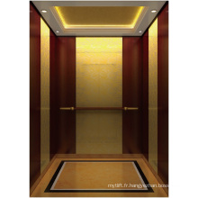 Aksen Golden Mirror Passenger Elevator (K-J003)